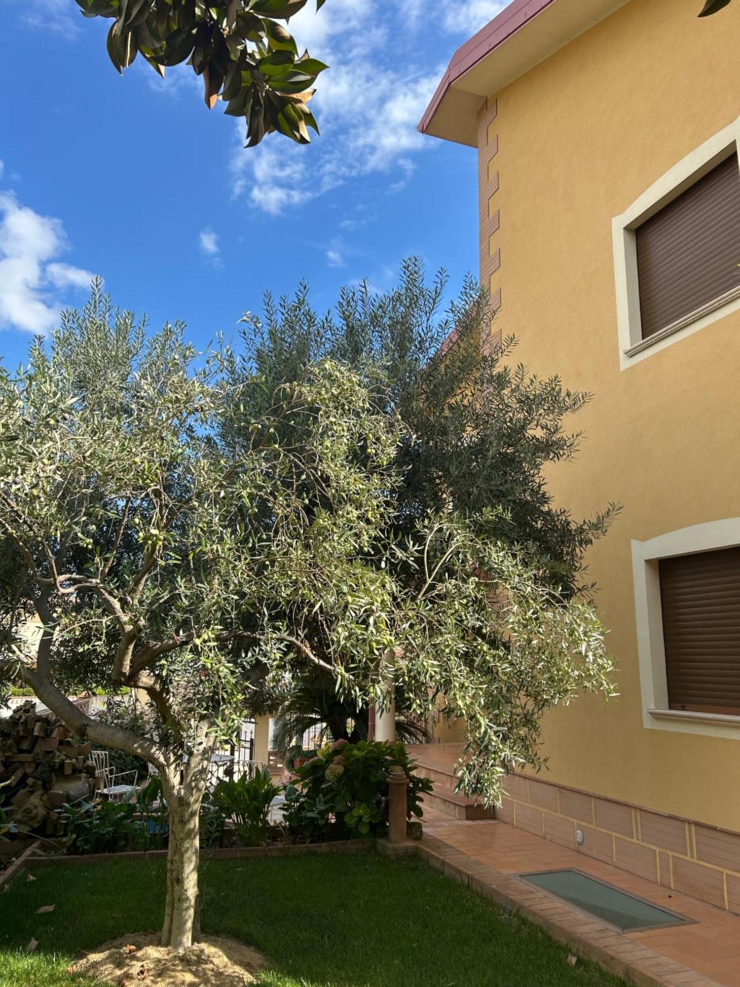B&B Villa Maria Catanzaro Exterior foto