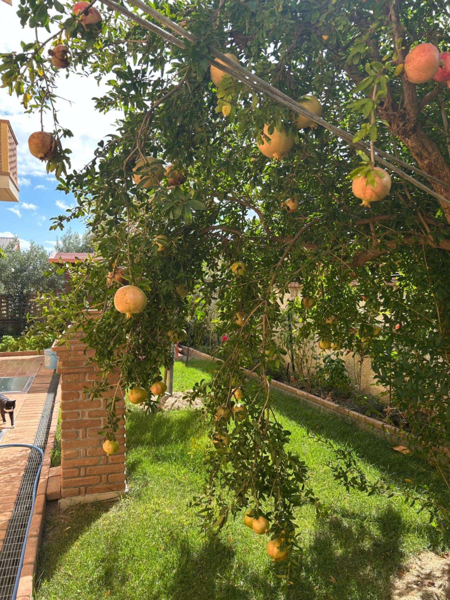 B&B Villa Maria Catanzaro Exterior foto